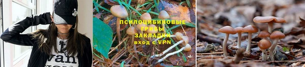 гашишное масло Арсеньев